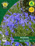 Irish Grown Bluebells Non-scripta LAST STOCK - Green's of Ireland Online Garden Shop.  Bluebells, West Cork Bulbs, Daffodil Bulbs, Tulip Bulbs, Crocus Bulbs, Autumn Bulbs, Bulbs, Cheap Bulbs