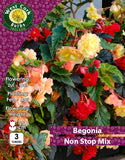 Begonia Non Stop Mix - Green's of Ireland Online Garden Shop.  Flower Bulbs, West Cork Bulbs, Daffodil Bulbs, Tulip Bulbs, Crocus Bulbs, Autumn Bulbs, Bulbs, Cheap Bulbs