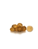 Irish Grown Bluebells Non-scripta - Green's of Ireland Online Garden Shop.  Bluebells, West Cork Bulbs, Daffodil Bulbs, Tulip Bulbs, Crocus Bulbs, Autumn Bulbs, Bulbs, Cheap Bulbs