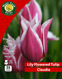 Lily Flowered Tulip Claudia - Green's of Ireland Online Garden Shop. Tulips, West Cork Bulbs, Daffodil Bulbs, Tulip Bulbs, Crocus Bulbs, Autumn Bulbs, Bulbs, Cheap Bulbs