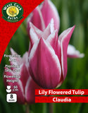 Lily Flowered Tulip Claudia - Green's of Ireland Online Garden Shop. Tulips, West Cork Bulbs, Daffodil Bulbs, Tulip Bulbs, Crocus Bulbs, Autumn Bulbs, Bulbs, Cheap Bulbs