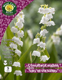Convallaria majalis 'Lily of the Valley' - Green's of Ireland Online Garden Shop.  Flower Bulbs, West Cork Bulbs, Daffodil Bulbs, Tulip Bulbs, Crocus Bulbs, Autumn Bulbs, Bulbs, Cheap Bulbs