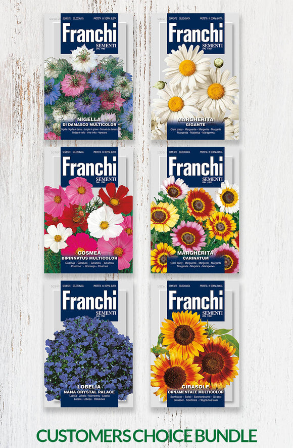 Graines de fleur - Pack choix des clients