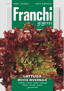 Lettuce Winter Brunette - Green's of Ireland Online Garden Shop.  Vegetable Seeds, Franchi, Daffodil Bulbs, Tulip Bulbs, Crocus Bulbs, Autumn Bulbs, Bulbs, Cheap Bulbs