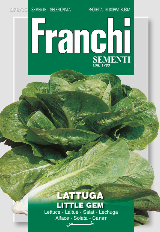 Lettuce  Little Gem - Green's of Ireland Online Garden Shop.  Vegetable Seeds, Franchi, Daffodil Bulbs, Tulip Bulbs, Crocus Bulbs, Autumn Bulbs, Bulbs, Cheap Bulbs