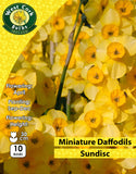 Miniature Daffodils Sundisc - Green's of Ireland Online Garden Shop. Flower Bulbs, West Cork Bulbs, Daffodil Bulbs, Tulip Bulbs, Crocus Bulbs, Autumn Bulbs, Bulbs, Cheap Bulbs