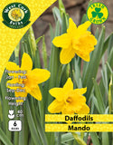 Yellow Daffodils Mando - Green's of Ireland Online Garden Shop. Flower Bulbs, West Cork Bulbs, Daffodil Bulbs, Tulip Bulbs, Crocus Bulbs, Autumn Bulbs, Bulbs, Cheap Bulbs