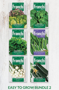 Vegetable seeds - Easy to grow bundle 2 - Green's of Ireland Online Garden Shop.  Vegetable Seeds, Franchi, Daffodil Bulbs, Tulip Bulbs, Crocus Bulbs, Autumn Bulbs, Bulbs, Cheap Bulbs