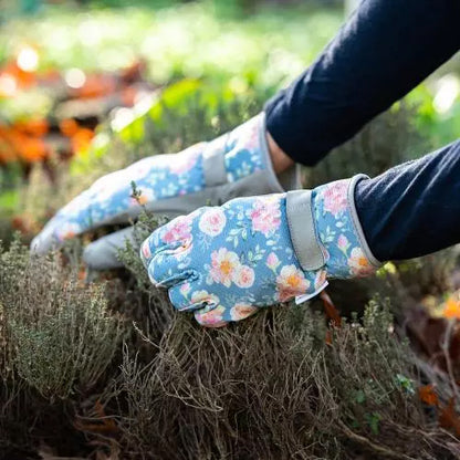Gloves "Emmy" - Green's of Ireland Online Garden Shop.  Gloves, BlackFox, Daffodil Bulbs, Tulip Bulbs, Crocus Bulbs, Autumn Bulbs, Bulbs, Cheap Bulbs