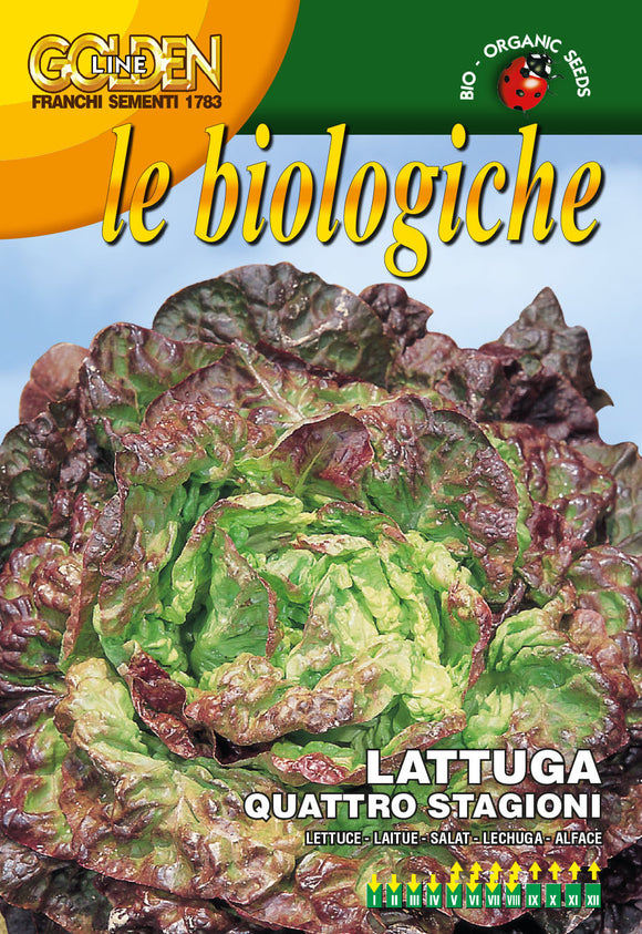Organic Lettuce Quattro Stagioni - Green's of Ireland Online Garden Shop.  Vegetable Seeds, Franchi, Daffodil Bulbs, Tulip Bulbs, Crocus Bulbs, Autumn Bulbs, Bulbs, Cheap Bulbs