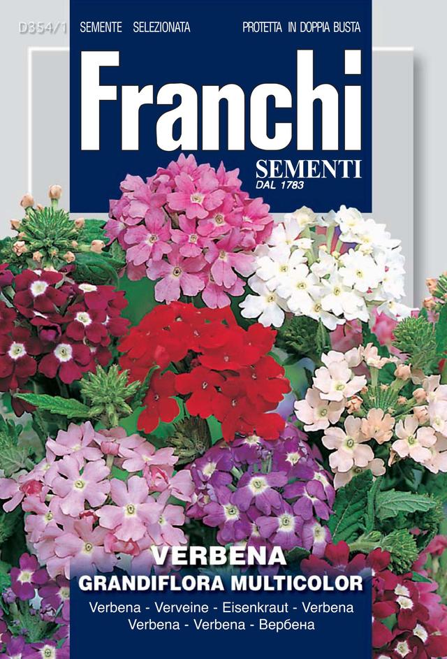 Flowers Seed Verbena grandiflora - Green's of Ireland Online Garden Shop.  Vegetable Seeds, Franchi, Daffodil Bulbs, Tulip Bulbs, Crocus Bulbs, Autumn Bulbs, Bulbs, Cheap Bulbs