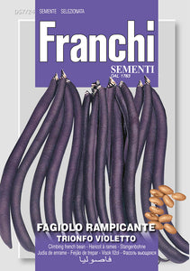 Dwarf French Bean 'Purple King'  - Green's of Ireland Online Garden Shop.  Vegetable Seeds, Franchi, Daffodil Bulbs, Tulip Bulbs, Crocus Bulbs, Autumn Bulbs, Bulbs, Cheap Bulbs