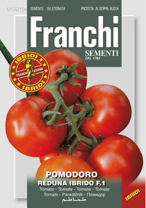 Tomatoes  'Reduna' F1 - Green's of Ireland Online Garden Shop.  Vegetable Seeds, Franchi, Daffodil Bulbs, Tulip Bulbs, Crocus Bulbs, Autumn Bulbs, Bulbs, Cheap Bulbs