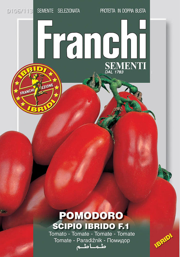 Tomatoes  'Scipio' F1 - Green's of Ireland Online Garden Shop.  Vegetable Seeds, Franchi, Daffodil Bulbs, Tulip Bulbs, Crocus Bulbs, Autumn Bulbs, Bulbs, Cheap Bulbs