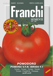 Tomatoes  'Pomona' F1 - Green's of Ireland Online Garden Shop.  Vegetable Seeds, Franchi, Daffodil Bulbs, Tulip Bulbs, Crocus Bulbs, Autumn Bulbs, Bulbs, Cheap Bulbs