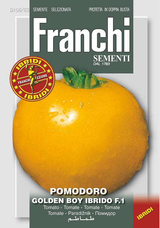 Tomatoes  'Golden Boy' F1 - Green's of Ireland Online Garden Shop.  Vegetable Seeds, Franchi, Daffodil Bulbs, Tulip Bulbs, Crocus Bulbs, Autumn Bulbs, Bulbs, Cheap Bulbs