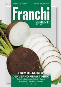 Black Winter Radish 'Ramolaccio' - Green's of Ireland Online Garden Shop.  Vegetable Seeds, Franchi, Daffodil Bulbs, Tulip Bulbs, Crocus Bulbs, Autumn Bulbs, Bulbs, Cheap Bulbs
