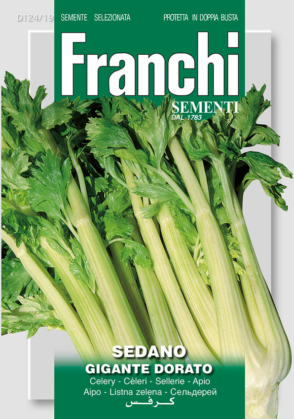 Celery  'Gigante Dorato' - Green's of Ireland Online Garden Shop.  Vegetable Seeds, Franchi, Daffodil Bulbs, Tulip Bulbs, Crocus Bulbs, Autumn Bulbs, Bulbs, Cheap Bulbs