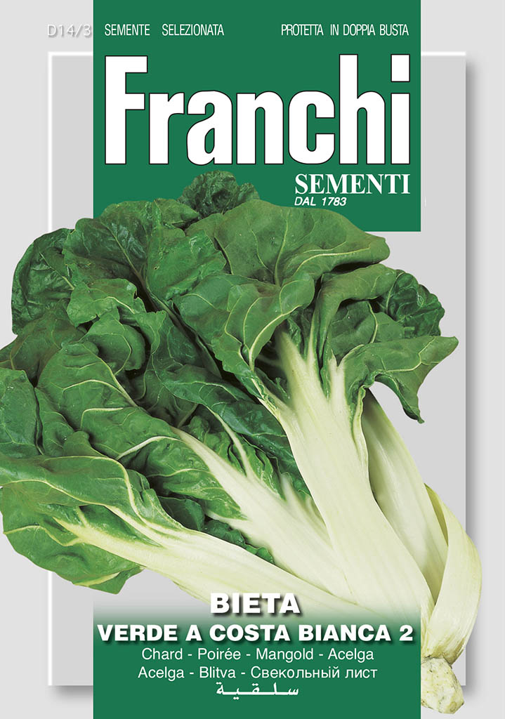 Swiss Chard  'Costa Bianca' - Green's of Ireland Online Garden Shop.  Vegetable Seeds, Franchi, Daffodil Bulbs, Tulip Bulbs, Crocus Bulbs, Autumn Bulbs, Bulbs, Cheap Bulbs