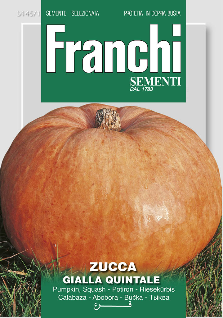 Pumpkin Quintale - Green's of Ireland Online Garden Shop.  Vegetable Seeds, Franchi, Daffodil Bulbs, Tulip Bulbs, Crocus Bulbs, Autumn Bulbs, Bulbs, Cheap Bulbs