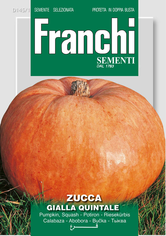 Pumpkin Quintale - Green's of Ireland Online Garden Shop.  Vegetable Seeds, Franchi, Daffodil Bulbs, Tulip Bulbs, Crocus Bulbs, Autumn Bulbs, Bulbs, Cheap Bulbs