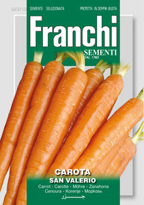 Carrots  'Saint Valery'  - Green's of Ireland Online Garden Shop.  Vegetable Seeds, Franchi, Daffodil Bulbs, Tulip Bulbs, Crocus Bulbs, Autumn Bulbs, Bulbs, Cheap Bulbs