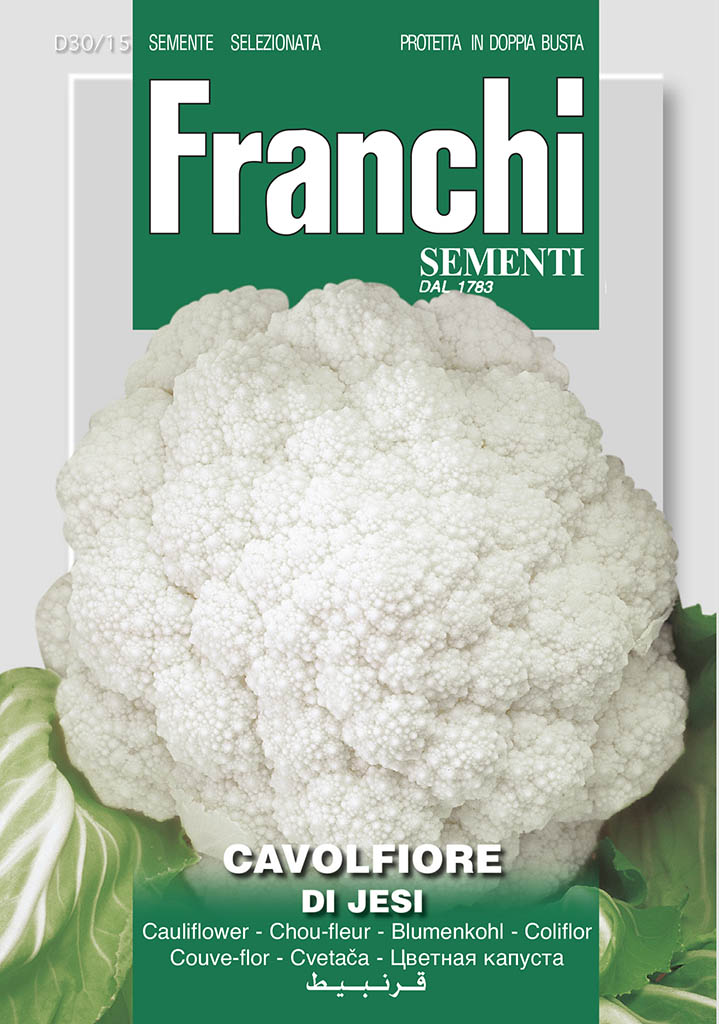 Cauliflower Of Jesi - Green's of Ireland Online Garden Shop.  Vegetable Seeds, Franchi, Daffodil Bulbs, Tulip Bulbs, Crocus Bulbs, Autumn Bulbs, Bulbs, Cheap Bulbs