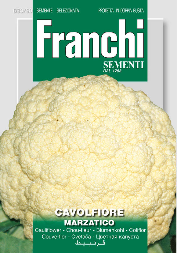 Cauliflower Gigante Di Napoli Marzatico - Green's of Ireland Online Garden Shop.  Vegetable Seeds, Franchi, Daffodil Bulbs, Tulip Bulbs, Crocus Bulbs, Autumn Bulbs, Bulbs, Cheap Bulbs