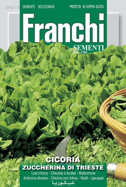 Chicory Zuccherino Of Trieste - Green's of Ireland Online Garden Shop.  Vegetable Seeds, Franchi, Daffodil Bulbs, Tulip Bulbs, Crocus Bulbs, Autumn Bulbs, Bulbs, Cheap Bulbs