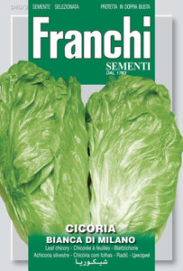 Chicory Bianca Di Milano - Green's of Ireland Online Garden Shop.  Vegetable Seeds, Franchi, Daffodil Bulbs, Tulip Bulbs, Crocus Bulbs, Autumn Bulbs, Bulbs, Cheap Bulbs