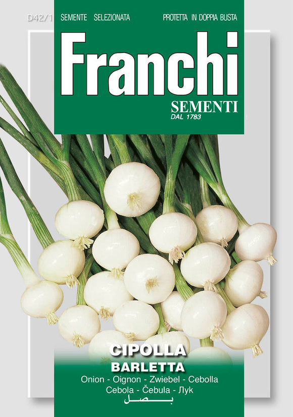White Salad Onion Barletta - Green's of Ireland Online Garden Shop.  Vegetable Seeds, Franchi, Daffodil Bulbs, Tulip Bulbs, Crocus Bulbs, Autumn Bulbs, Bulbs, Cheap Bulbs