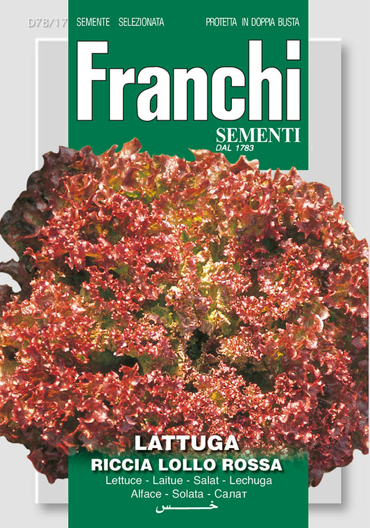LettuceLollo Rossa Red - Green's of Ireland Online Garden Shop.  Vegetable Seeds, Franchi, Daffodil Bulbs, Tulip Bulbs, Crocus Bulbs, Autumn Bulbs, Bulbs, Cheap Bulbs