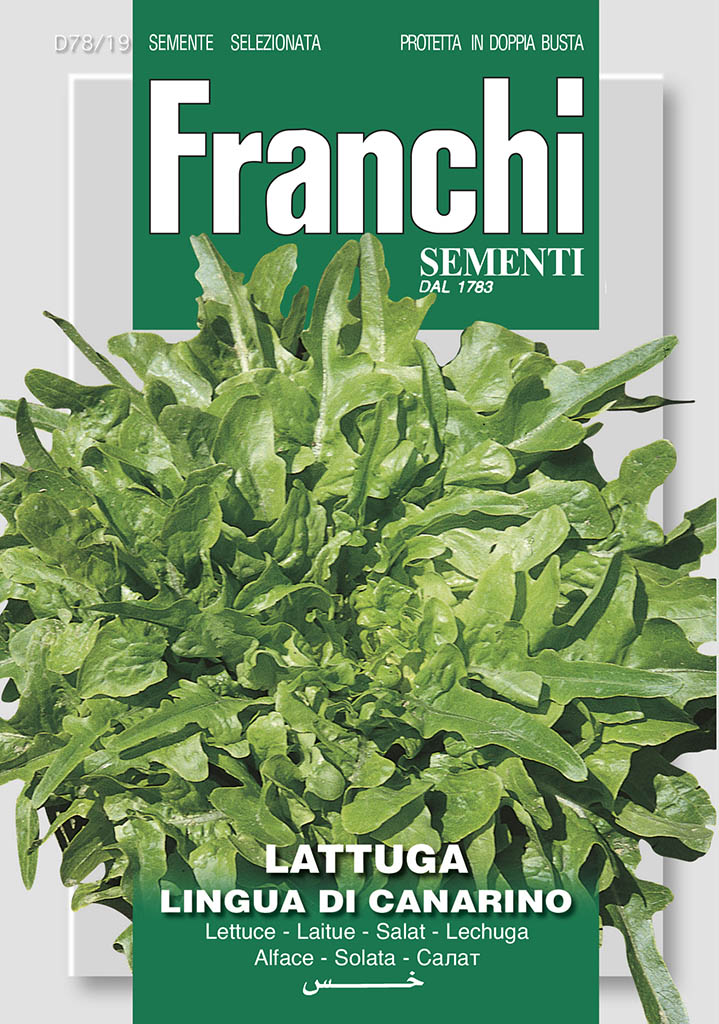 LettuceLingua Di Canarino - Green's of Ireland Online Garden Shop.  Vegetable Seeds, Franchi, Daffodil Bulbs, Tulip Bulbs, Crocus Bulbs, Autumn Bulbs, Bulbs, Cheap Bulbs