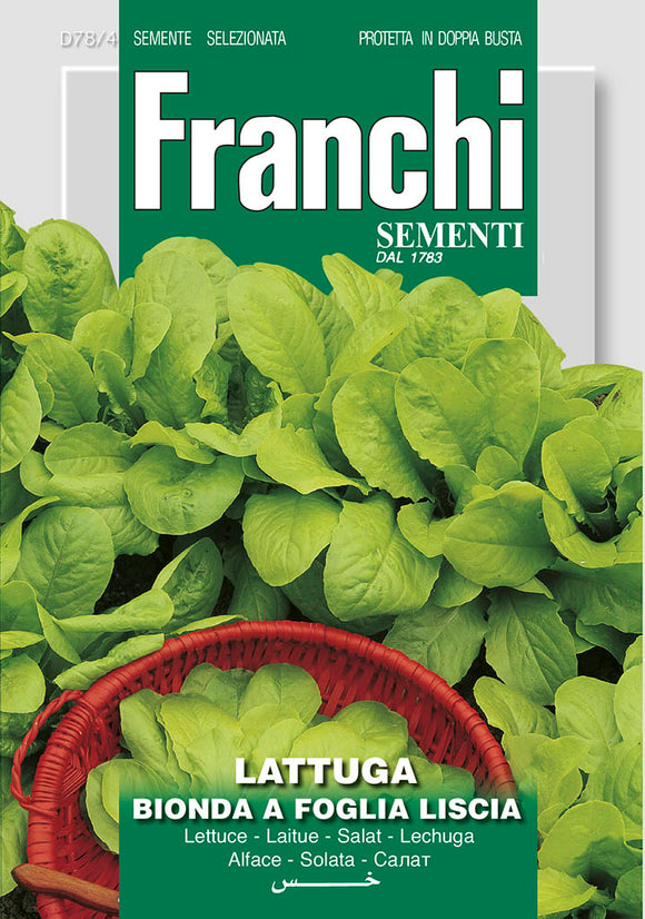 LettuceBionda A Foglia Liscia - Green's of Ireland Online Garden Shop.  Vegetable Seeds, Franchi, Daffodil Bulbs, Tulip Bulbs, Crocus Bulbs, Autumn Bulbs, Bulbs, Cheap Bulbs