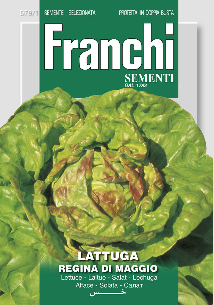 LettuceRegina Di Maggio - Green's of Ireland Online Garden Shop.  Vegetable Seeds, Franchi, Daffodil Bulbs, Tulip Bulbs, Crocus Bulbs, Autumn Bulbs, Bulbs, Cheap Bulbs