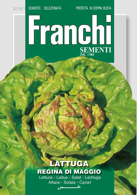 LettuceRegina Di Maggio - Green's of Ireland Online Garden Shop.  Vegetable Seeds, Franchi, Daffodil Bulbs, Tulip Bulbs, Crocus Bulbs, Autumn Bulbs, Bulbs, Cheap Bulbs