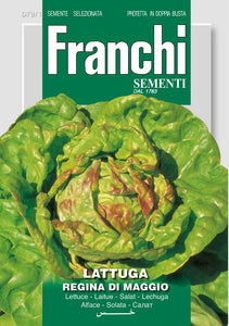 LettuceRegina Di Maggio - Green's of Ireland Online Garden Shop.  Vegetable Seeds, Franchi, Daffodil Bulbs, Tulip Bulbs, Crocus Bulbs, Autumn Bulbs, Bulbs, Cheap Bulbs