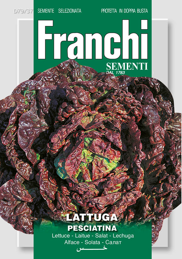 Lettuce  Pesciatina Of Tuscany - Green's of Ireland Online Garden Shop.  Vegetable Seeds, Franchi, Daffodil Bulbs, Tulip Bulbs, Crocus Bulbs, Autumn Bulbs, Bulbs, Cheap Bulbs