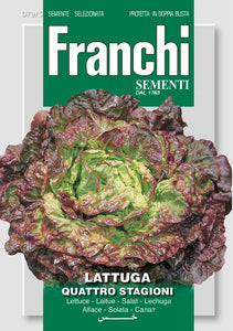 Lettuce  Quattro Stagioni - Green's of Ireland Online Garden Shop.  Vegetable Seeds, Franchi, Daffodil Bulbs, Tulip Bulbs, Crocus Bulbs, Autumn Bulbs, Bulbs, Cheap Bulbs