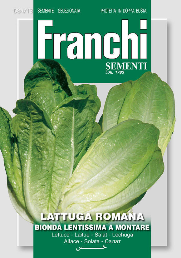 Romaine Lettuce  Lentissima - Green's of Ireland Online Garden Shop.  Vegetable Seeds, Franchi, Daffodil Bulbs, Tulip Bulbs, Crocus Bulbs, Autumn Bulbs, Bulbs, Cheap Bulbs