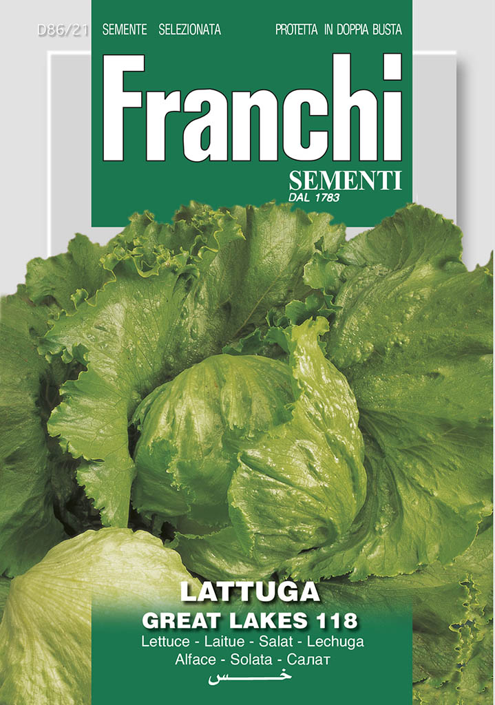 Lettuce  Great Lakes - Green's of Ireland Online Garden Shop.  Vegetable Seeds, Franchi, Daffodil Bulbs, Tulip Bulbs, Crocus Bulbs, Autumn Bulbs, Bulbs, Cheap Bulbs