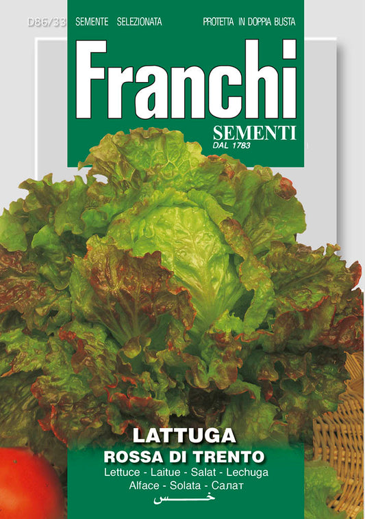 Lettuce  Rossa Di Trento - Green's of Ireland Online Garden Shop.  Vegetable Seeds, Franchi, Daffodil Bulbs, Tulip Bulbs, Crocus Bulbs, Autumn Bulbs, Bulbs, Cheap Bulbs
