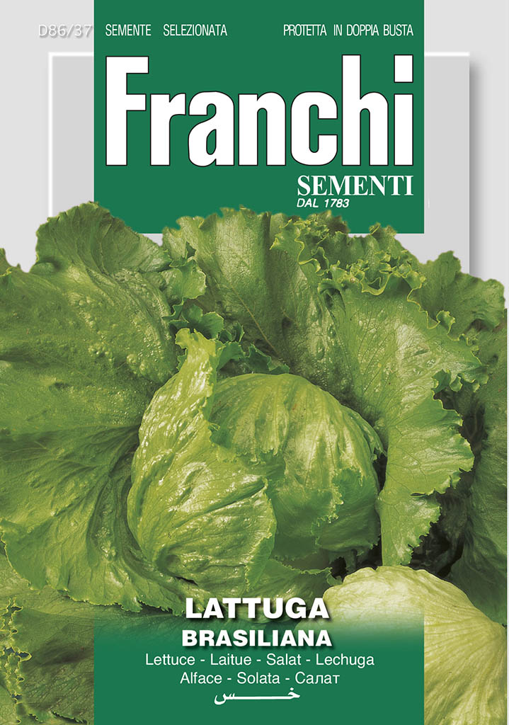 Lettuce  Brasiliana - Green's of Ireland Online Garden Shop.  Vegetable Seeds, Franchi, Daffodil Bulbs, Tulip Bulbs, Crocus Bulbs, Autumn Bulbs, Bulbs, Cheap Bulbs