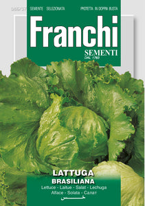 Lettuce  Brasiliana - Green's of Ireland Online Garden Shop.  Vegetable Seeds, Franchi, Daffodil Bulbs, Tulip Bulbs, Crocus Bulbs, Autumn Bulbs, Bulbs, Cheap Bulbs