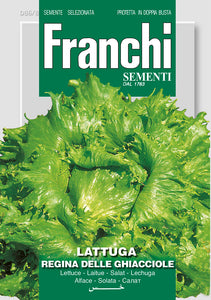Iceberg LettuceRegina Ghiacciole - Green's of Ireland Online Garden Shop.  Vegetable Seeds, Franchi, Daffodil Bulbs, Tulip Bulbs, Crocus Bulbs, Autumn Bulbs, Bulbs, Cheap Bulbs