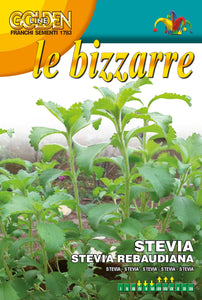 Stevia - Green's of Ireland Online Garden Shop.  Vegetable Seeds, Franchi, Daffodil Bulbs, Tulip Bulbs, Crocus Bulbs, Autumn Bulbs, Bulbs, Cheap Bulbs