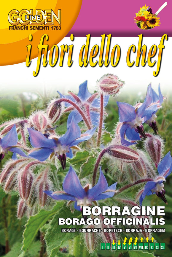 Borage - Green's of Ireland Online Garden Shop.  Vegetable Seeds, Franchi, Daffodil Bulbs, Tulip Bulbs, Crocus Bulbs, Autumn Bulbs, Bulbs, Cheap Bulbs