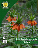 Fritillaria Crown ImperialRubra - Green's of Ireland Online Garden Shop. Fritillaria, West Cork Bulbs, Daffodil Bulbs, Tulip Bulbs, Crocus Bulbs, Autumn Bulbs, Bulbs, Cheap Bulbs
