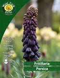 FritillariaPersica - Green's of Ireland Online Garden Shop. Fritillaria, West Cork Bulbs, Daffodil Bulbs, Tulip Bulbs, Crocus Bulbs, Autumn Bulbs, Bulbs, Cheap Bulbs