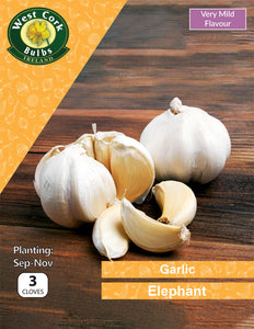 Garlic <p> Elephant</p> - Green's of Ireland Online Garden Shop.  Garlic and Onions, West Cork Bulbs, Daffodil Bulbs, Tulip Bulbs, Crocus Bulbs, Autumn Bulbs, Bulbs, Cheap Bulbs